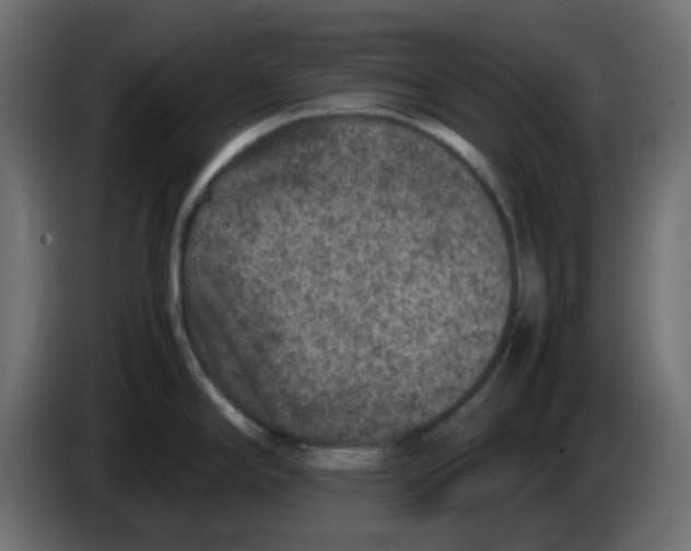 X0000083581294200703021805