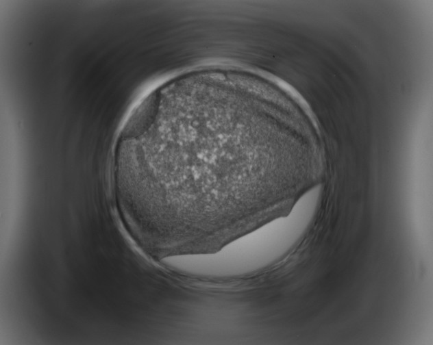 X0000083581295200703021805