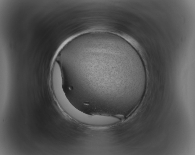 X0000083581296200703021805