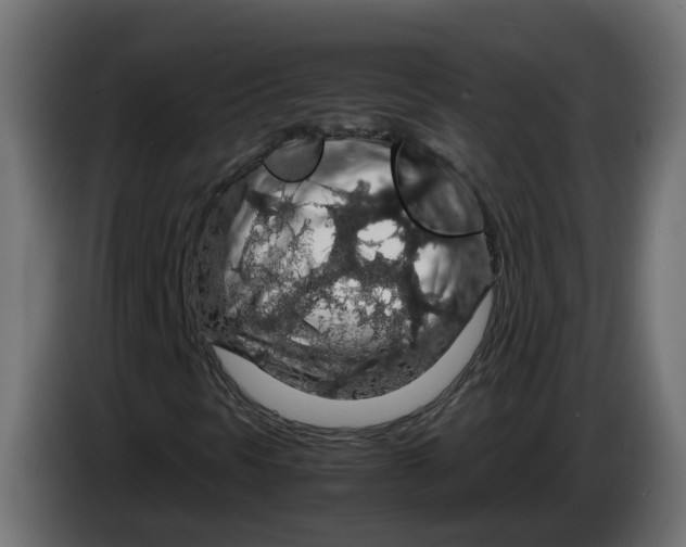 X0000083581297200703021804