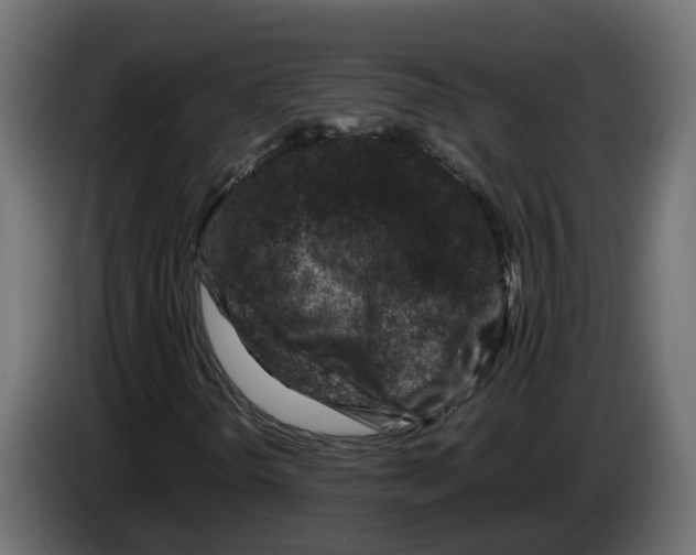 X0000083581298200703021804