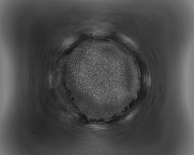 X0000083581300200703021804