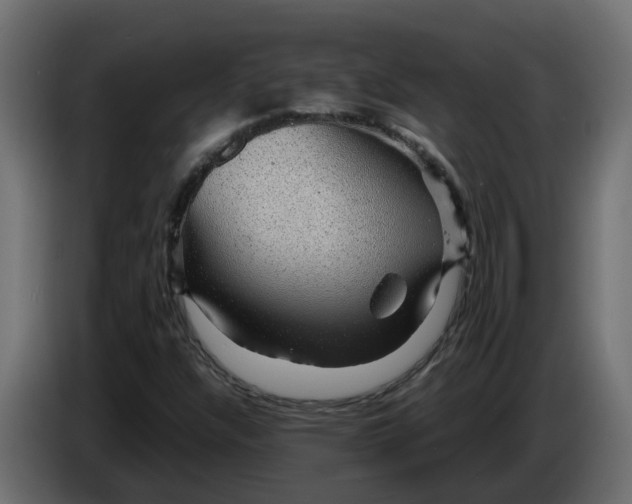 X0000083581304200703021804