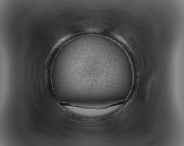 X0000083581307200703021804