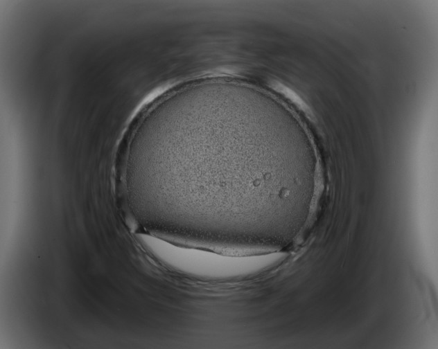 X0000083581308200703021804