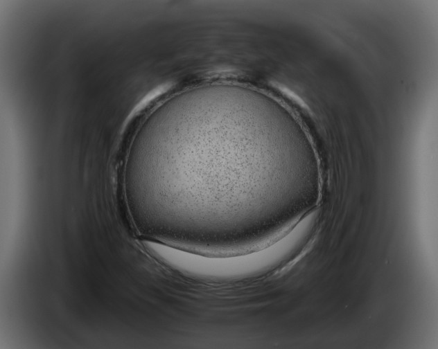 X0000083581309200703021804