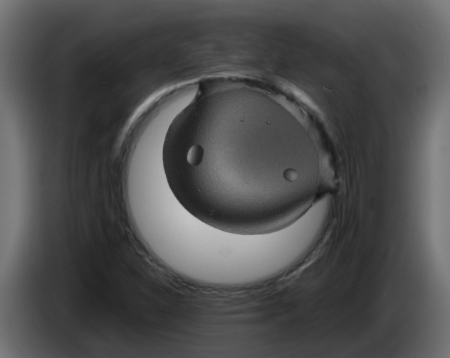 X0000083581310200703021804