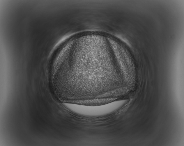 X0000083581311200703021804