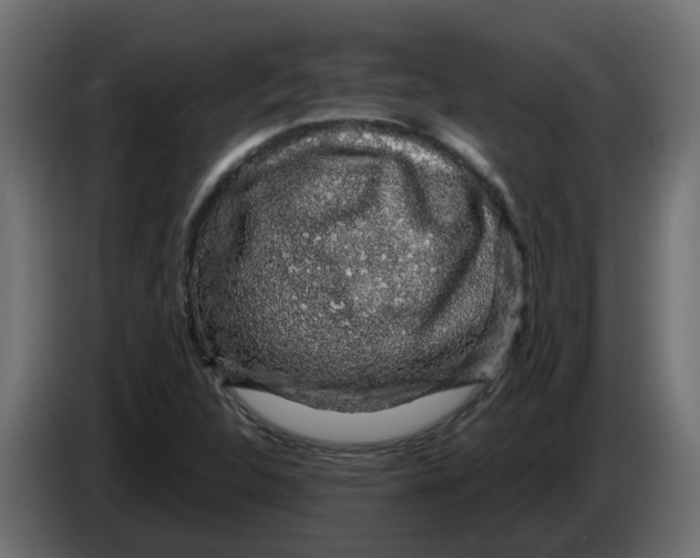 X0000083581312200703021804