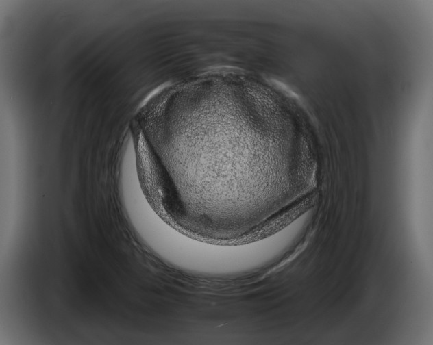 X0000083581313200703021804