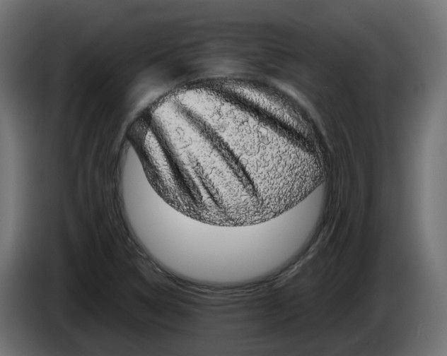 X0000083581314200703021804