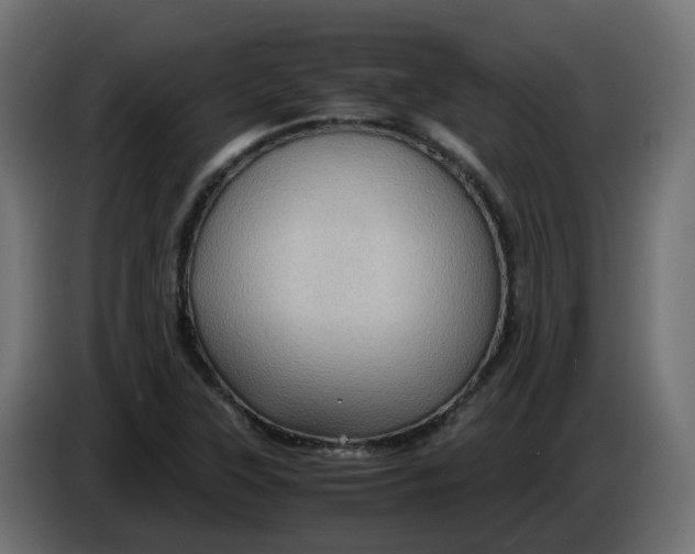 X0000083581315200703021804