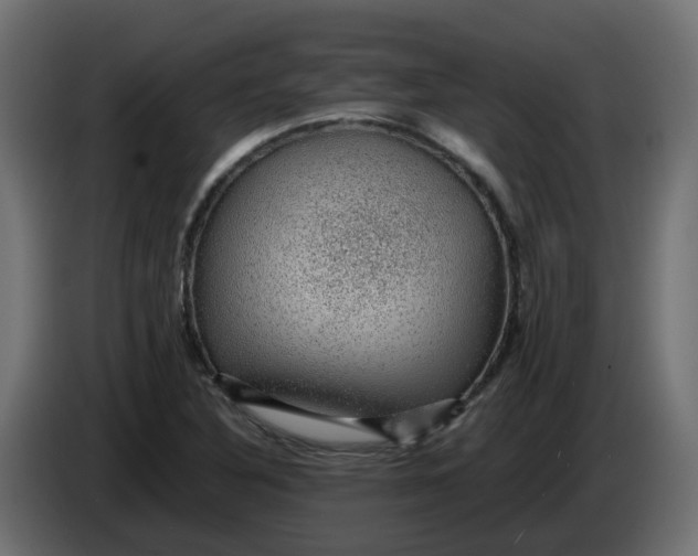 X0000083581316200703021804