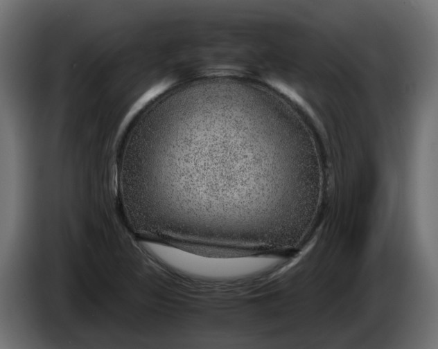 X0000083581317200703021804