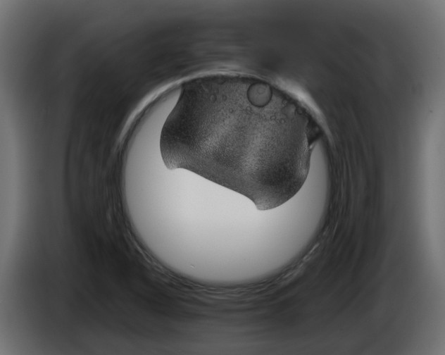 X0000083581318200703021804