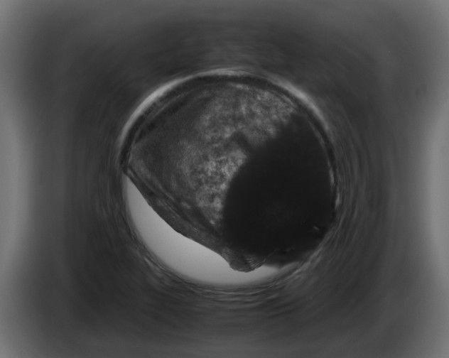 X0000083581319200703021804