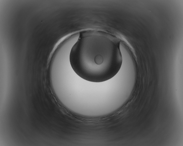 X0000083581320200703021804