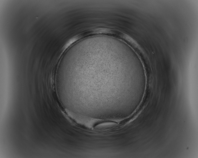 X0000083581321200703021804