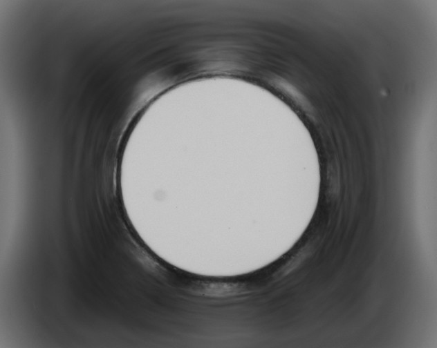 X0000083581322200703021804