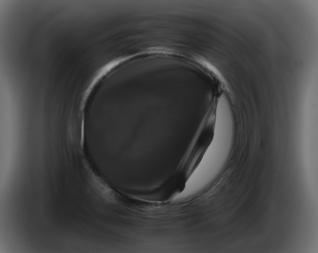 X0000083581323200703021805