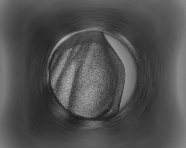 X0000083581324200703021805