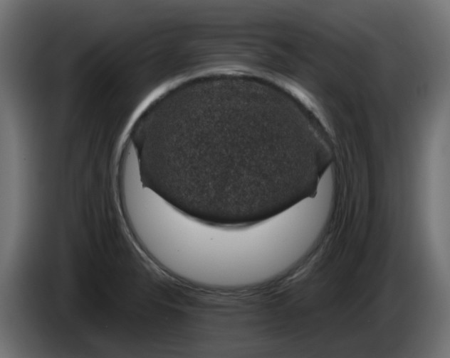 X0000083581326200703021805