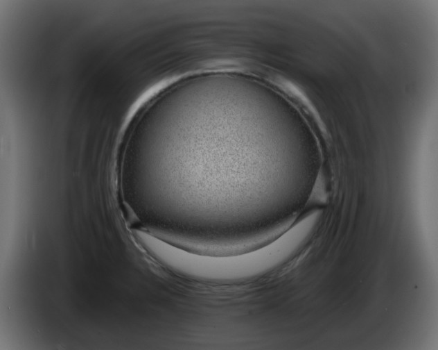 X0000083581328200703021805