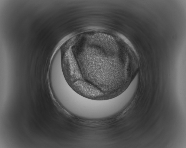 X0000083581330200703021805