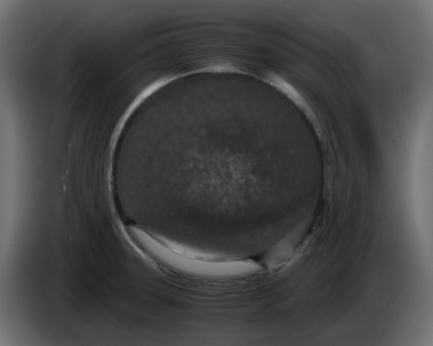 X0000083581331200703021805