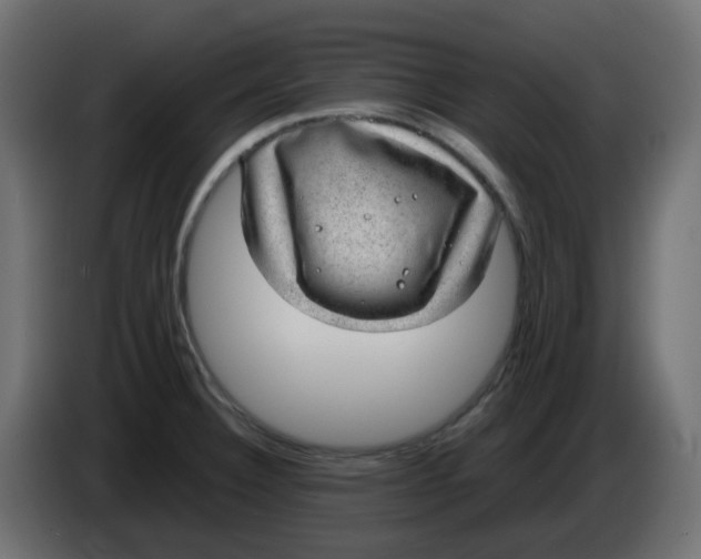 X0000083581332200703021805