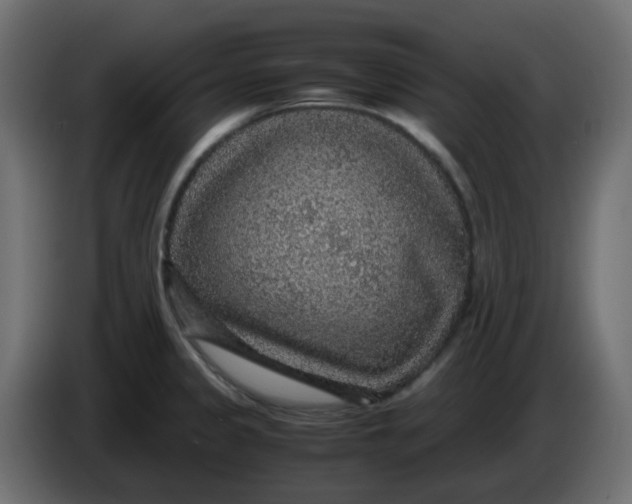 X0000083581333200703021805