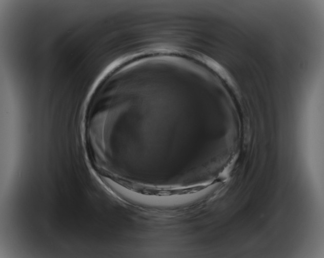 X0000083581334200703021805