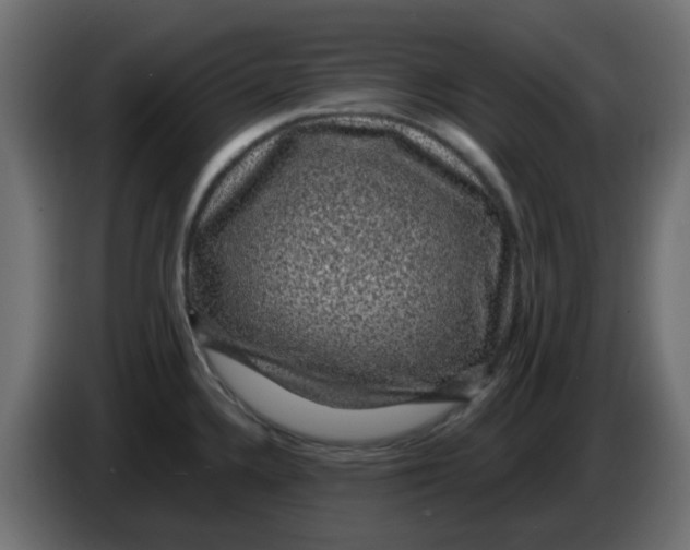 X0000083581336200703021805