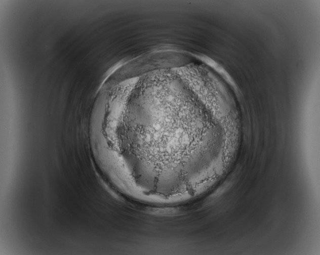 X0000083581337200703021805