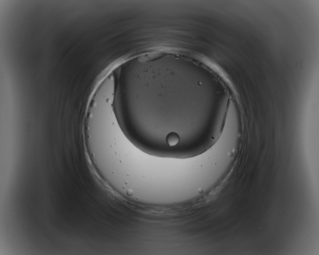 X0000083581338200703021805