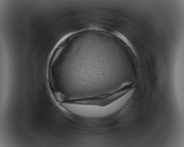 X0000083581339200703021805