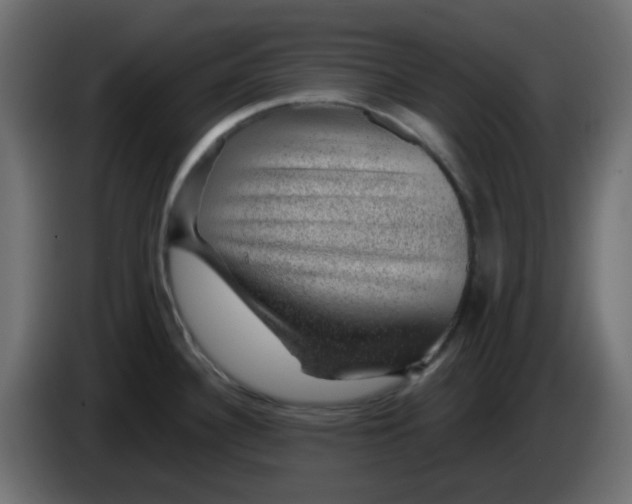 X0000083581340200703021805