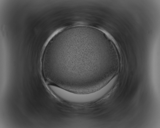 X0000083581341200703021805