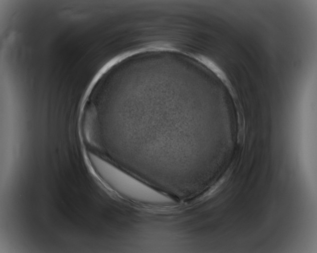 X0000083581342200703021805