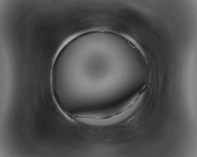 X0000083581343200703021805