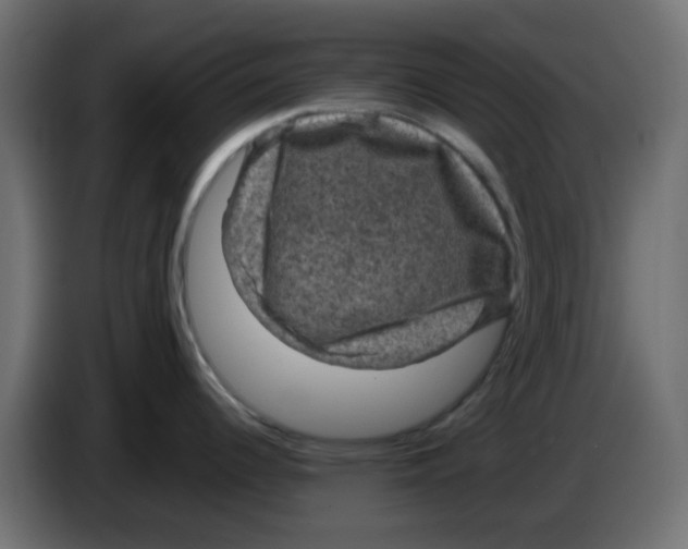 X0000083581344200703021805