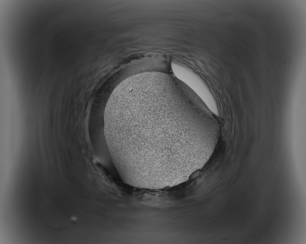 X0000083581345200703021804