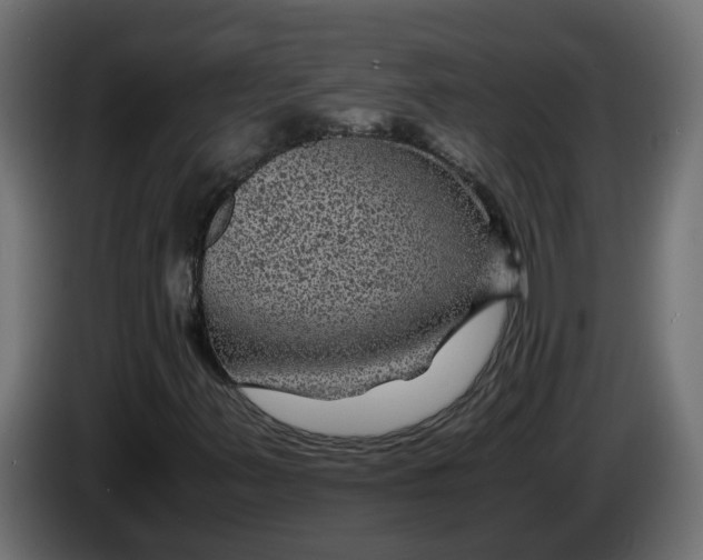 X0000083581347200703021804