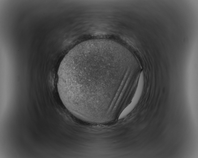 X0000083581348200703021804