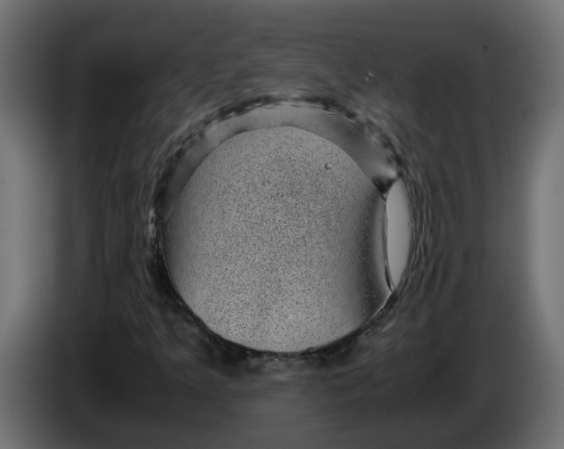 X0000083581349200703021804