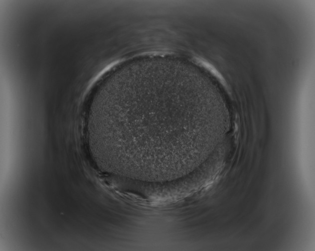 X0000083581352200703021804