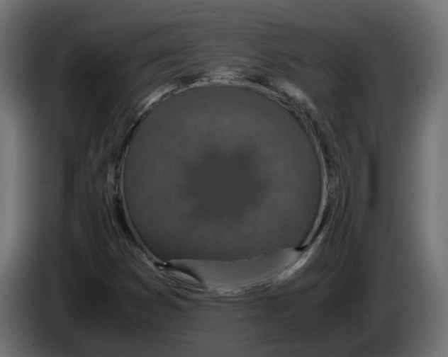 X0000083581353200703021804