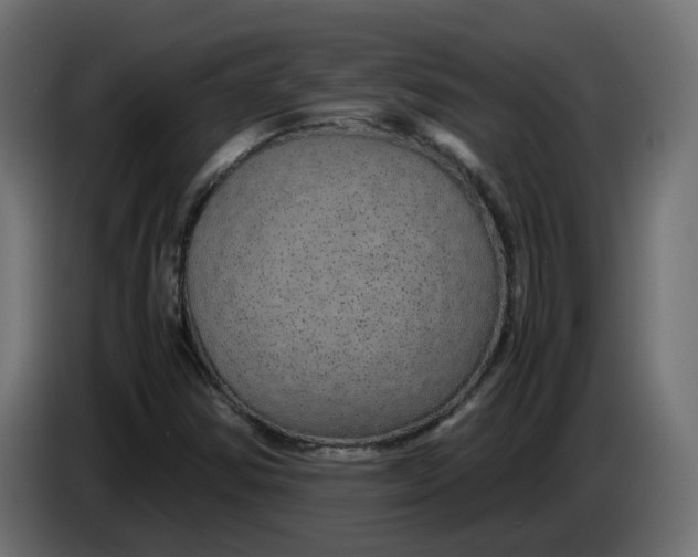 X0000083581354200703021804