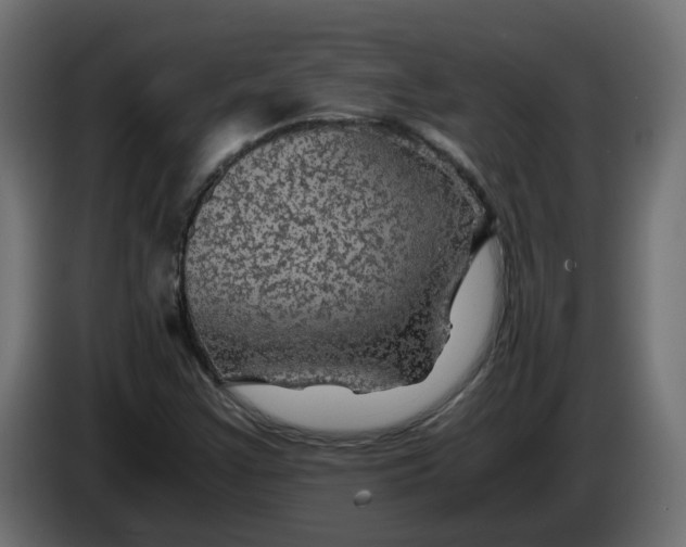 X0000083581355200703021804