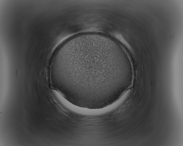 X0000083581356200703021804